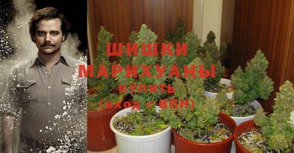 ешки Нягань