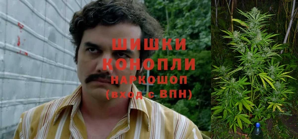 мдпв Новокубанск