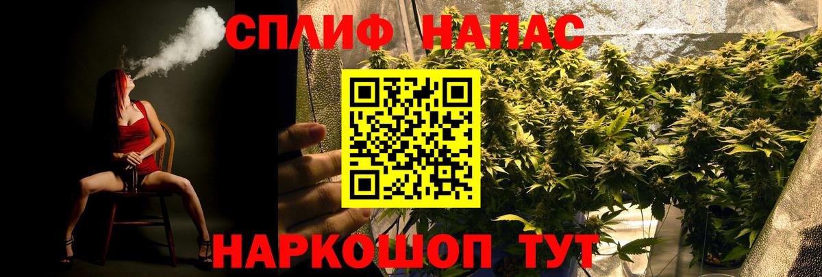 Бошки марихуана конопля  Вход с VPN  Кувандык  Конопля конопля  Канабис Ganja 